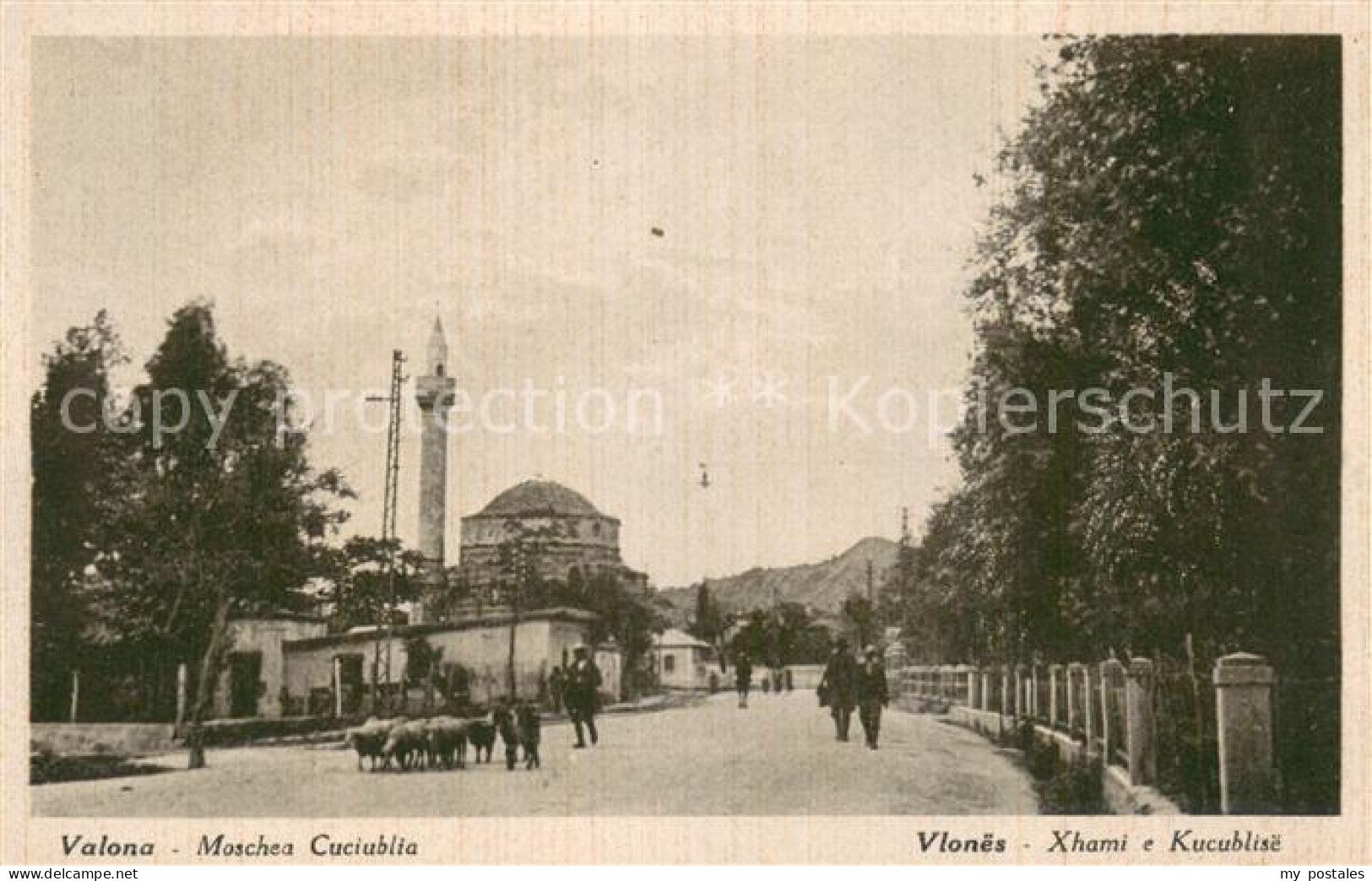 73771093 Valona Albania Moschea Cuciublia  - Albanie