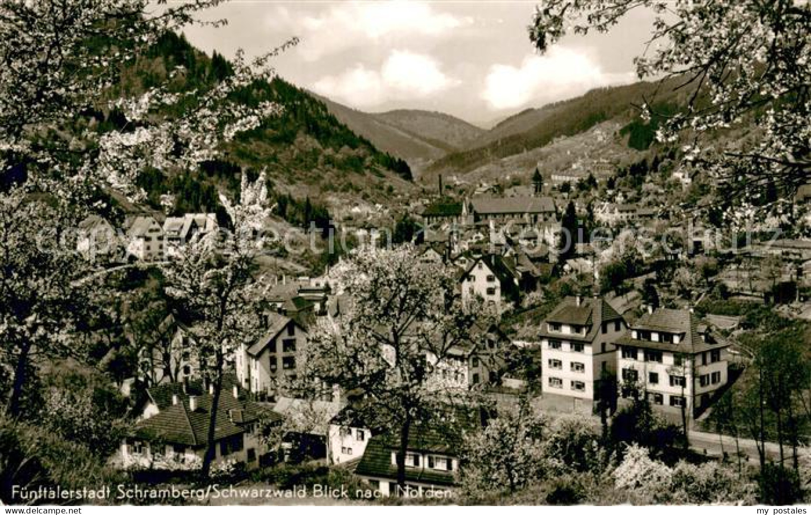 73770373 Schramberg Panorama Fuenftaelerstadt Im Schwarzwald Schramberg - Schramberg