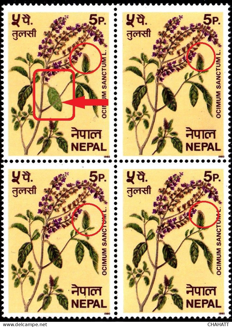 MEDICINAL PLANTS- OCIMUM SANCTUM L. - TULASI- ERROR- BLOCK OF 4- NEPAL- MNH-IE-191 - Heilpflanzen