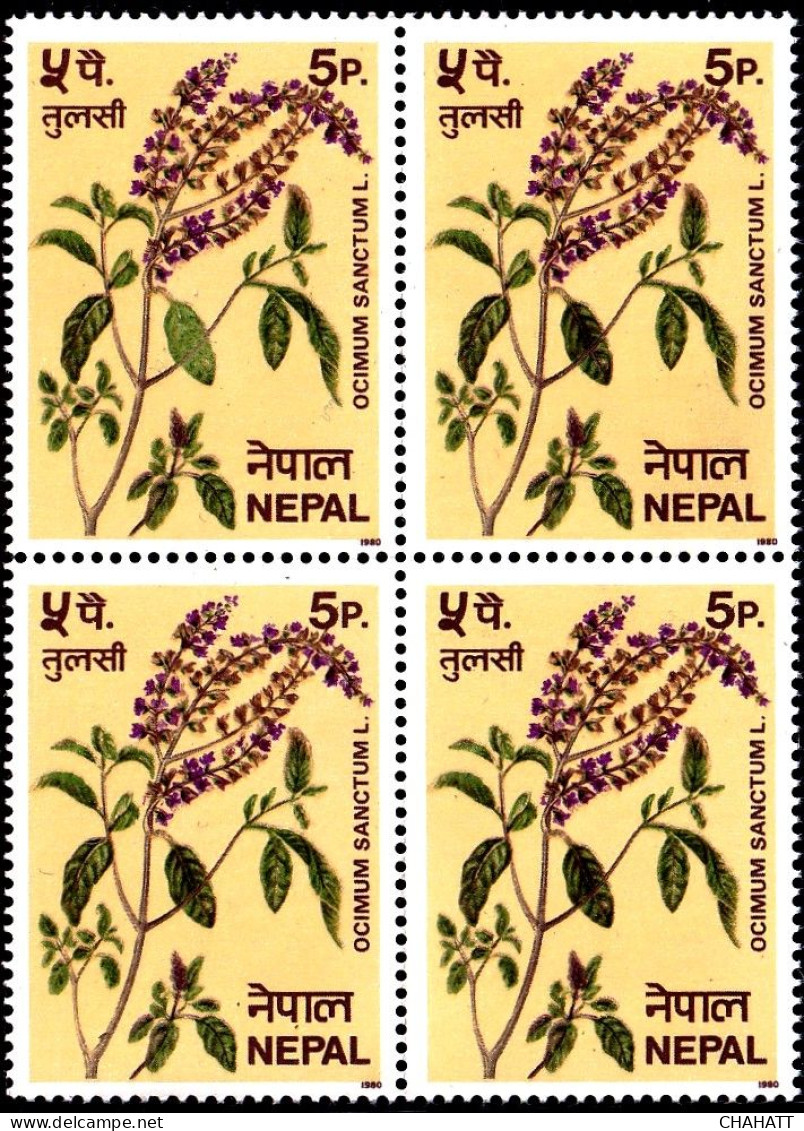 MEDICINAL PLANTS- OCIMUM SANCTUM L. - TULASI- ERROR- BLOCK OF 4- NEPAL- MNH-IE-191 - Heilpflanzen