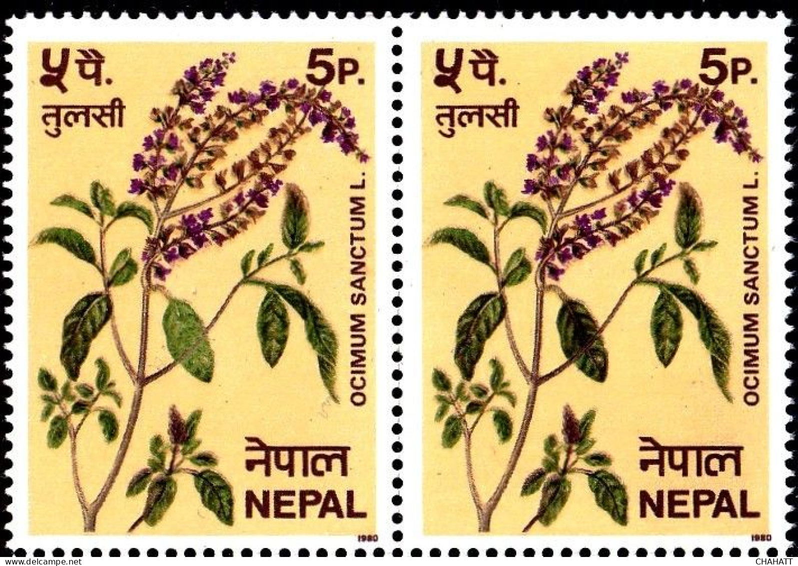 MEDICINAL PLANTS- OCIMUM SANCTUM L. - TULASI- ERROR- BLOCK OF 4- NEPAL- MNH-IE-191 - Medicinal Plants