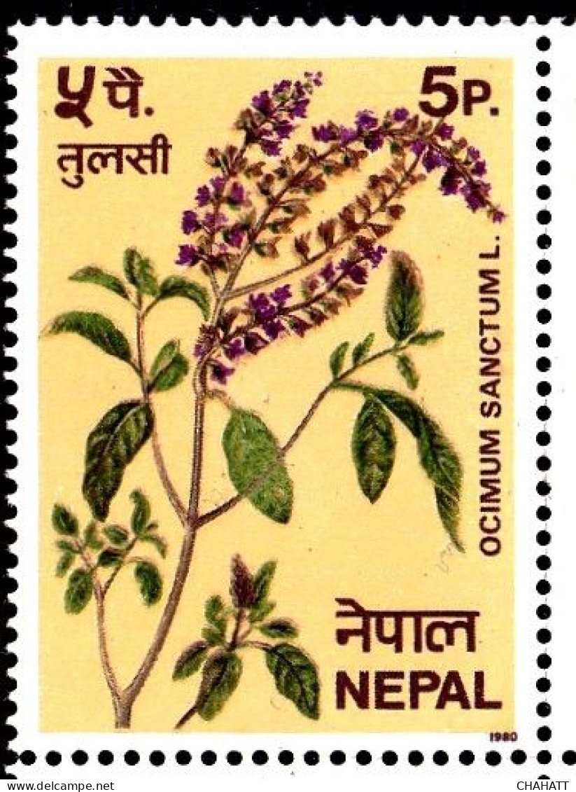 MEDICINAL PLANTS- OCIMUM SANCTUM L. - TULASI- ERROR- BLOCK OF 4- NEPAL- MNH-IE-191 - Geneeskrachtige Planten