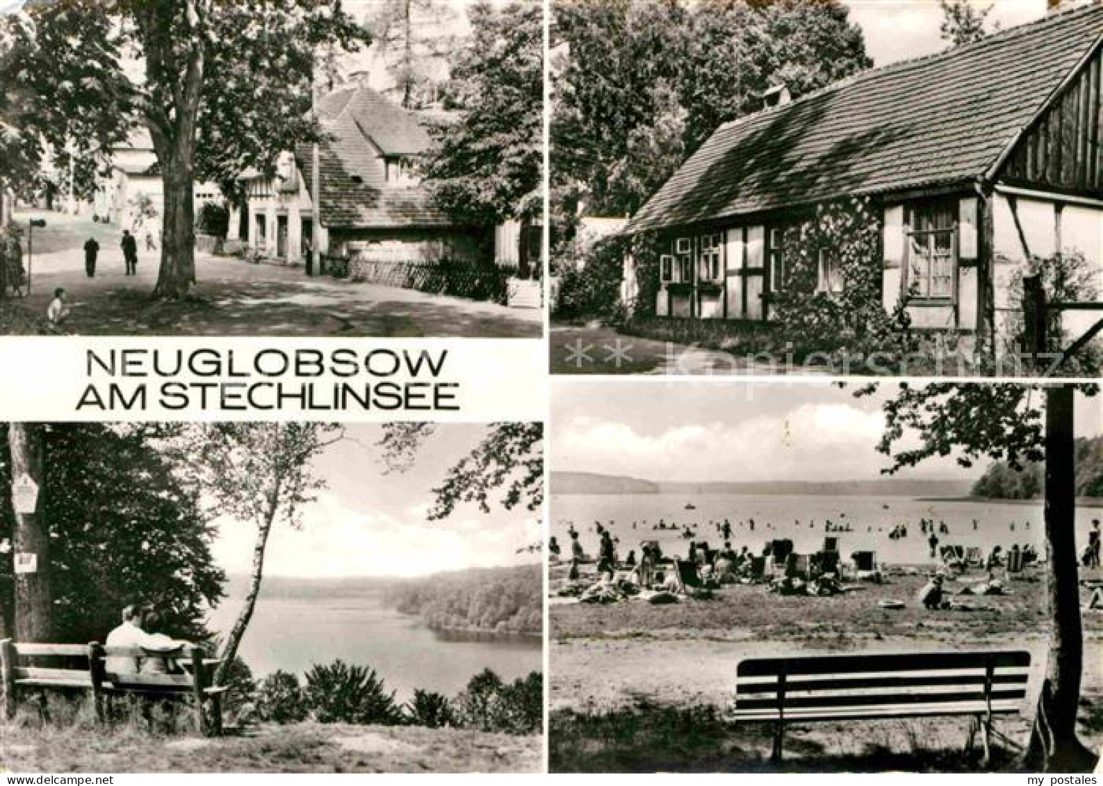 72686468 Neuglobsow Panorama Stechlinsee Badestrand Ortsmotiv Stechlin - Neuglobsow