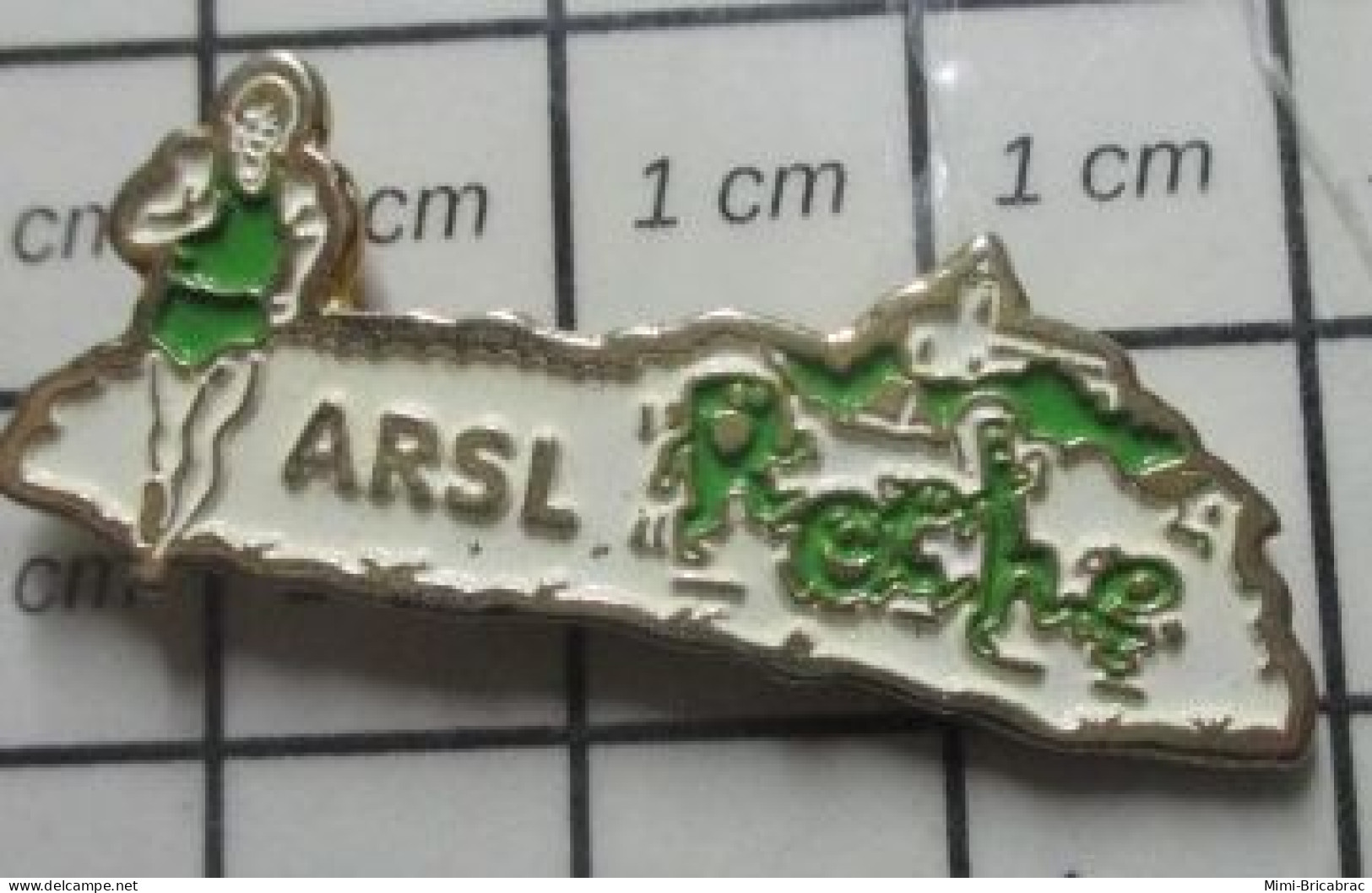 321 Pin's Pins / Beau Et Rare / SPORTS / CLUB ATHLETISME ARSL ROCHE - Atletiek
