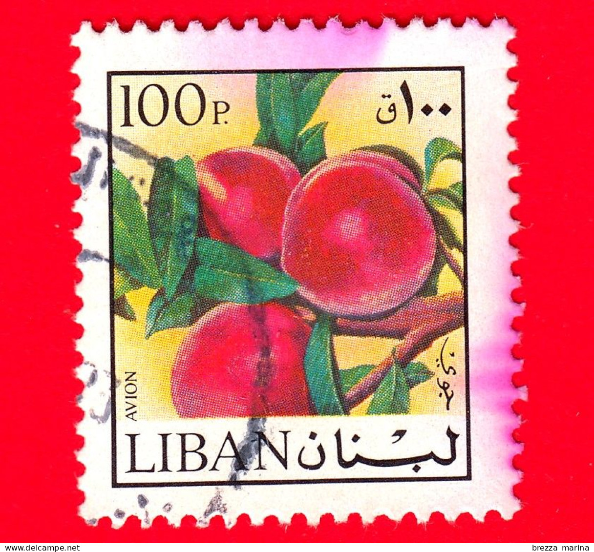 LIBANO - Usato - 1973 - Fiori E Frutti - Pesche - 100 - P. Aerea - Liban