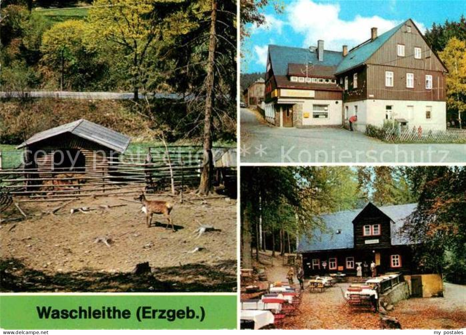 72678559 Waschleithe Tierpark Gaststaette Osterlamm Koehlerhuette Beierfeld Erzg - Gruenhain