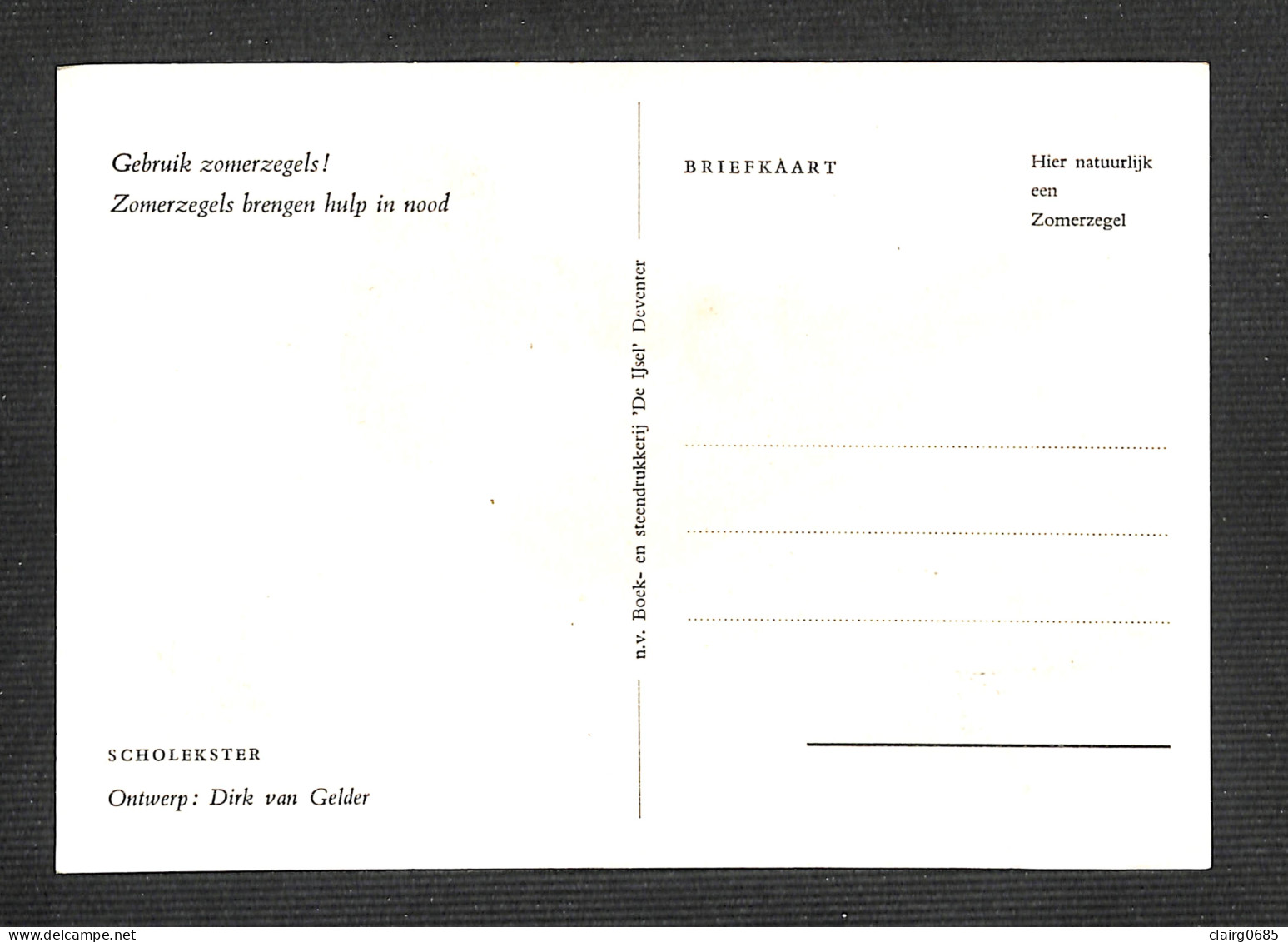 PAYS-BAS - NEDERLAND - Carte MAXIMUM 1961 - SCHOLEKSTER - Eurasian Oystercatcher - Cartes-Maximum (CM)