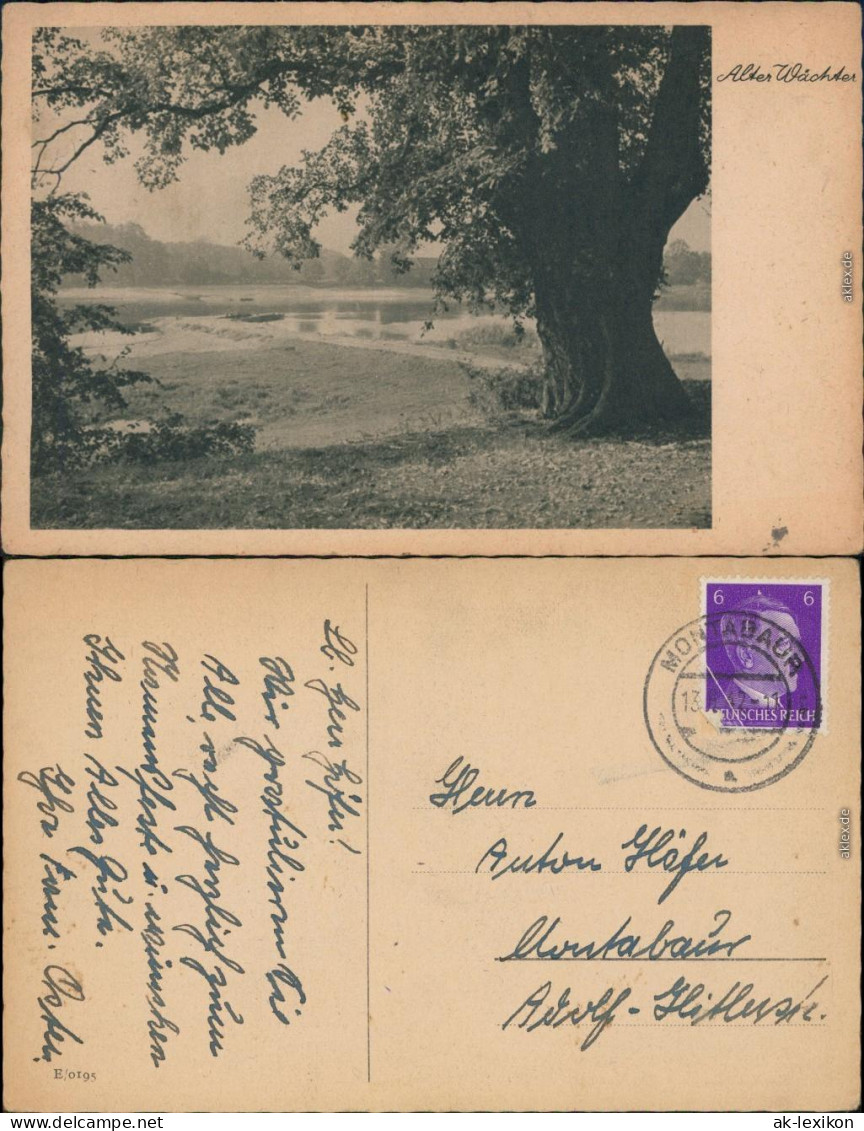 Ansichtskarte Montabaur Alter Wächter 1942  - Montabaur