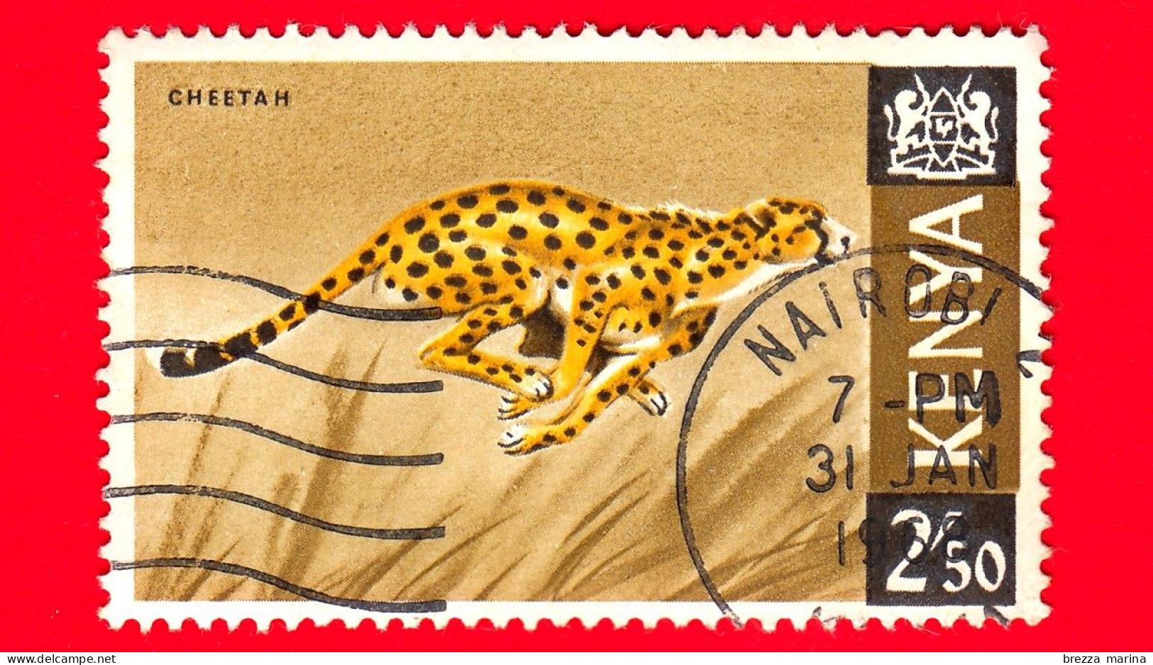 KENIA - Usato - 1966 - Animali ( Fauna ) - Felini - Ghepardo (Acinonyx Jubatus) - Cheetah - 2.50 Sh - Kenya (1963-...)