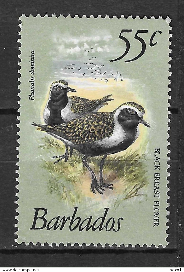 Barbados 1981 MiNr. 535 Birds, American Golden Plover 1v  MNH** 7.00 € - Barbados (1966-...)