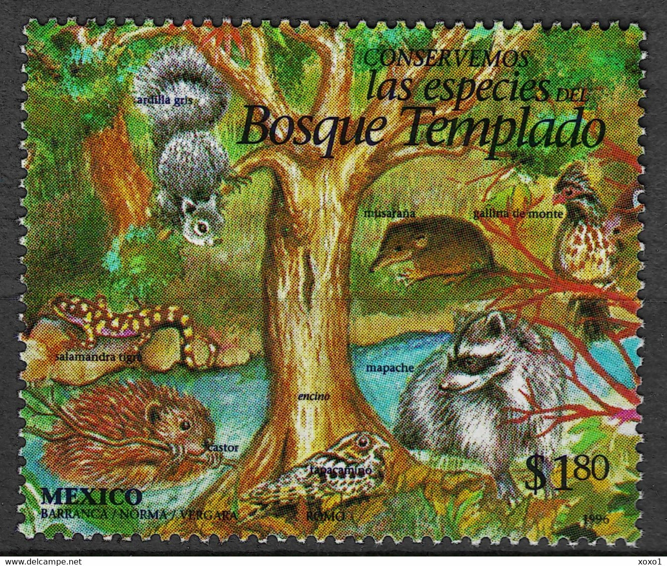 Mexico 1996 MiNr. 2587 Mexiko Native Animals (XVII) Birds Mammals Amphibians 1v MNH** 0,80 € - Kikkers