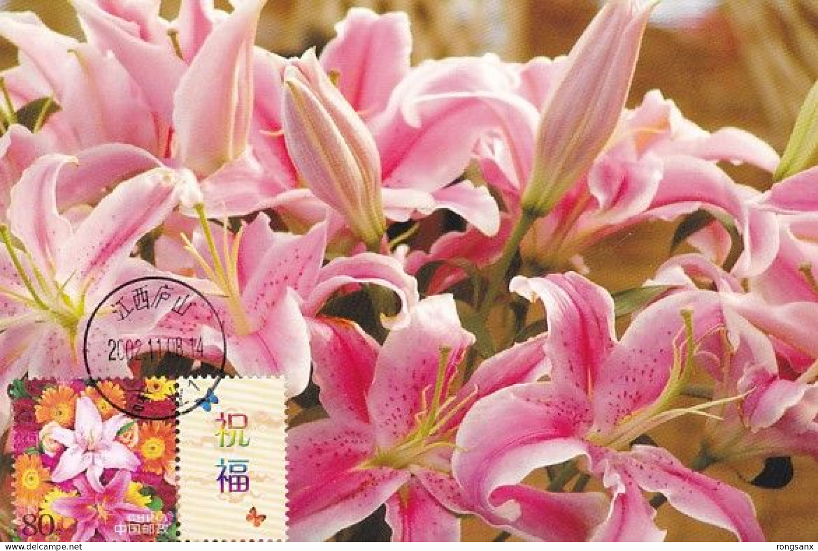 2002 CHINA G-2 GREETING STAMP FLOWER LOCAL MC-S DATE PMK - Maximumkarten