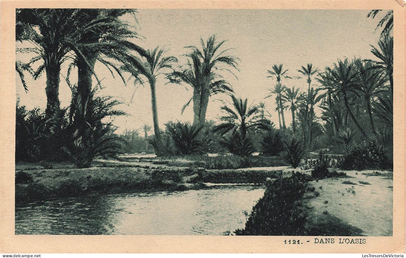 ALGERIE - Dans L'oasis - Vue Générale D'une Oasis Dans Un Dessert Où Il N'y A Personne - Carte Postale Ancienne - Escenas & Tipos