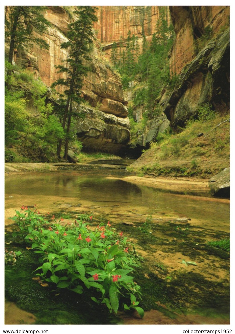 ZION NATIONAL PARK, UTAH, UNITED STATES, POSTCARD - Zion