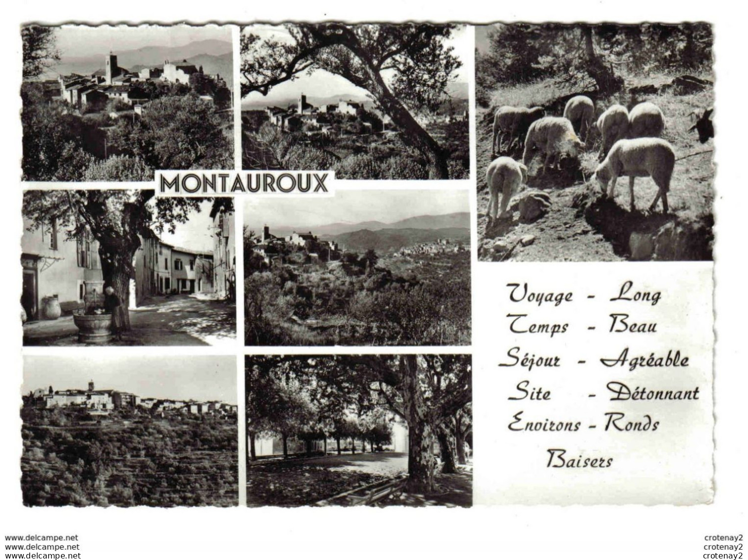 83 MONTAUROUX En 7 Vues N°76 Vers Fayence Moutons Chèvre Place Fontaine En 1968 - Fayence