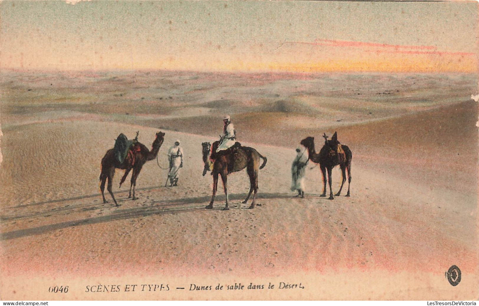 ALGERIE - Scènes Et Types - Dunes De Sable Dans Le Désert - Trois Chameaux Et Trois Nomades - Carte Postale Ancienne - Scènes & Types