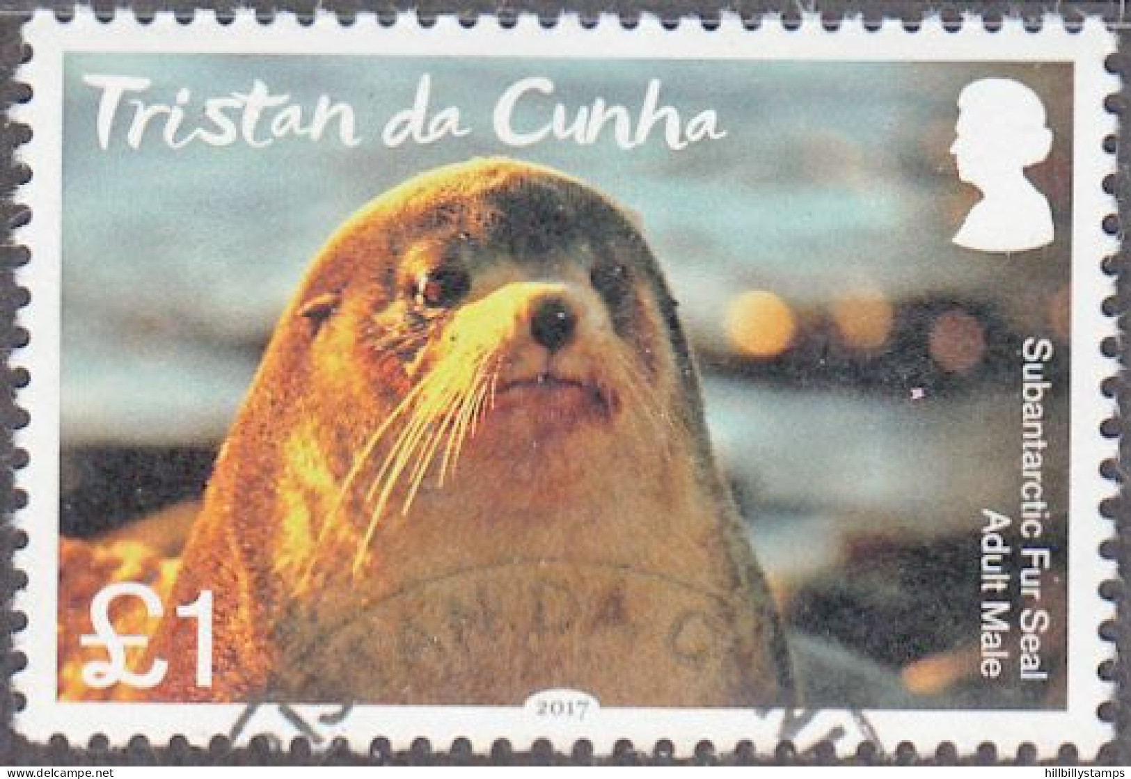 TRISTAN DA CUNHA  SCOTT NO 1108  USED  YEAR 2017 - Tristan Da Cunha