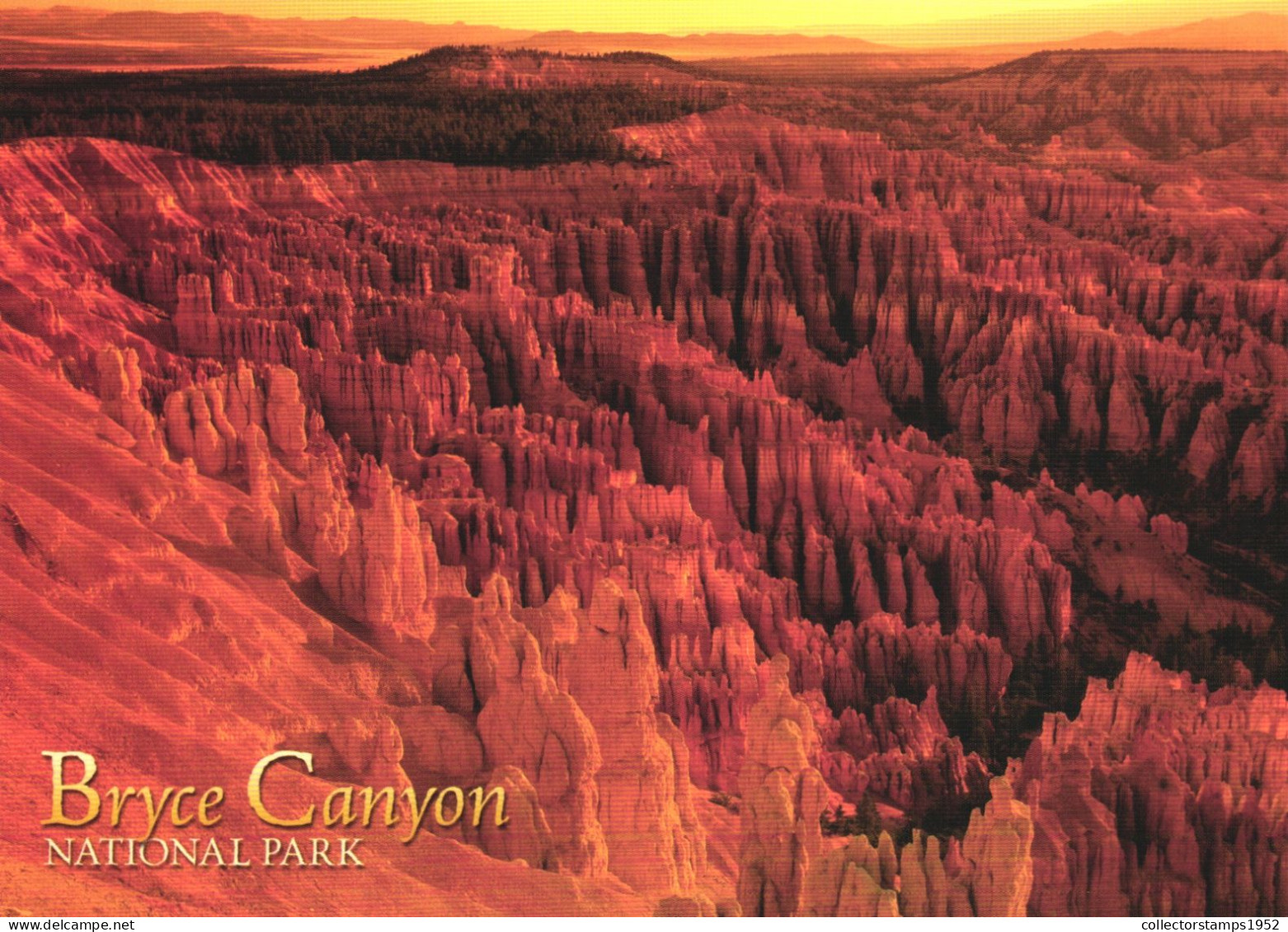 BRYCE CANYON NATIONAL PARK, UTAH, UNITED STATES, POSTCARD - Otros & Sin Clasificación