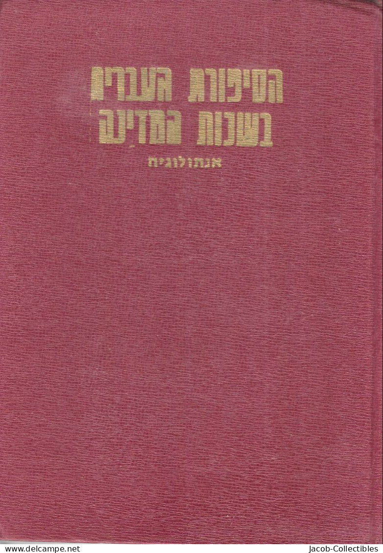 Hebrew Literature Fiction Anthology Israel History - אדיר כהן ספרות עברית - Autres & Non Classés