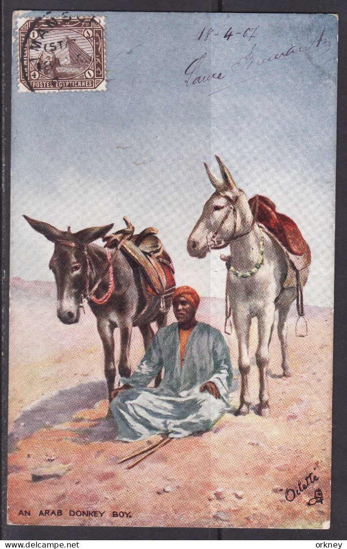 Egypte 7440 An Arab Donkey Boy - Sammlungen & Sammellose