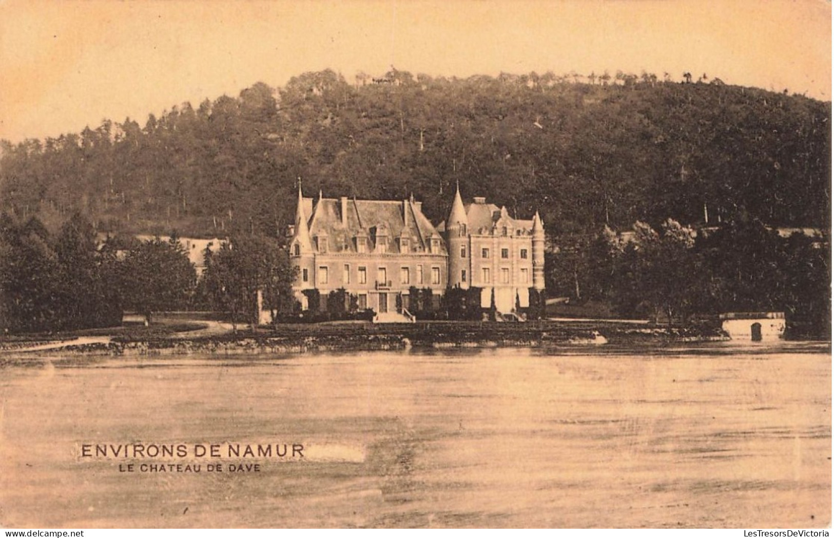 BELGIQUE - Environs De Namur - Le Château De Dave - Vue Générale Prise De La Rive - Carte Postale Ancienne - Namur