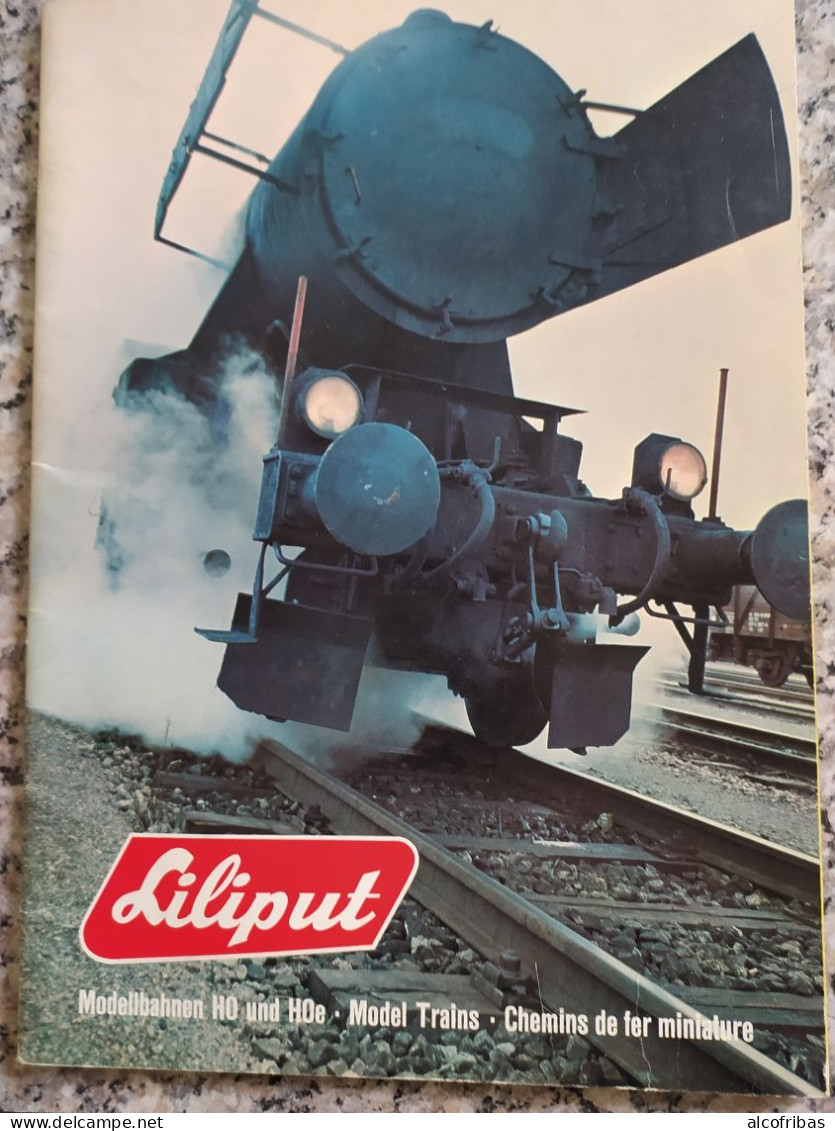 Train Chemin Fer Rail Locomotive Wagon Bahnspass Zug Gleise Catalogue Katalog Liliput 1975 - Germania