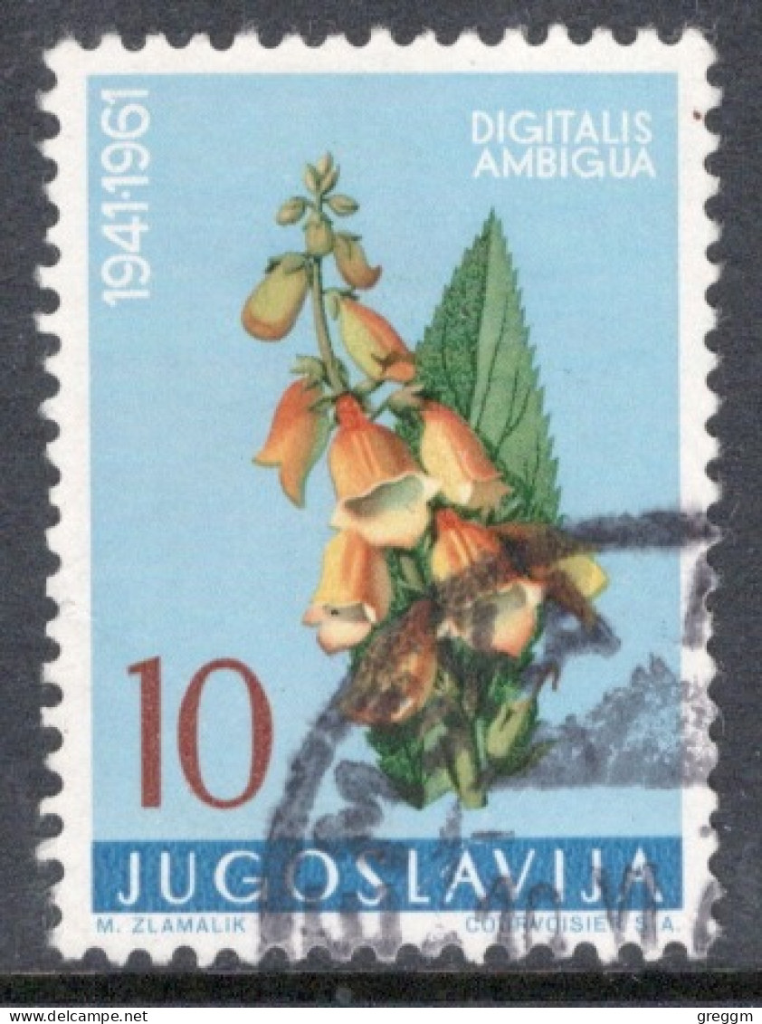 Yugoslavia 1961 Single Local Flora In Fine Used. - Gebraucht