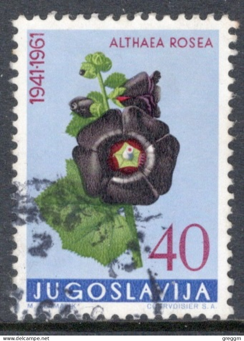 Yugoslavia 1961 Single Local Flora In Fine Used. - Oblitérés