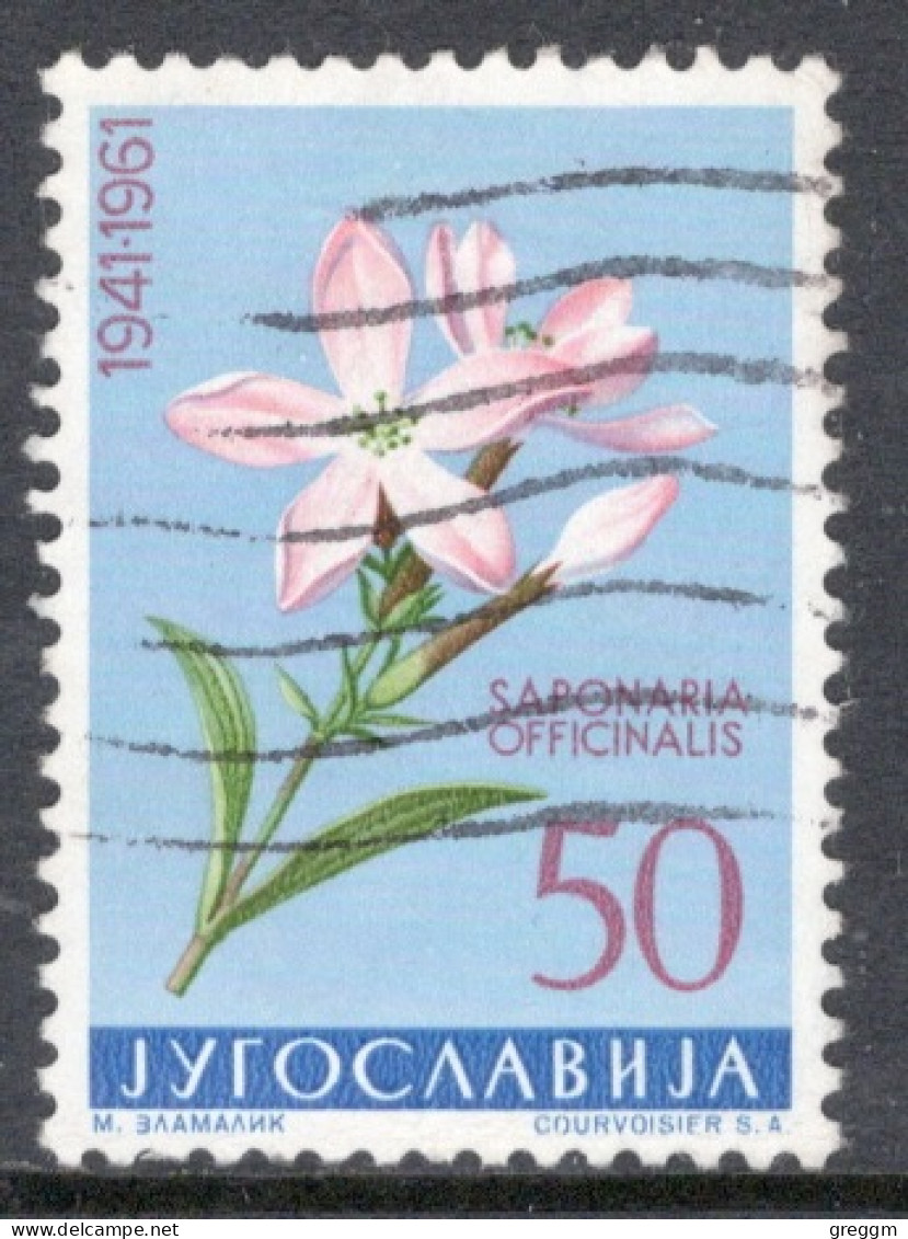 Yugoslavia 1961 Single Local Flora In Fine Used. - Used Stamps