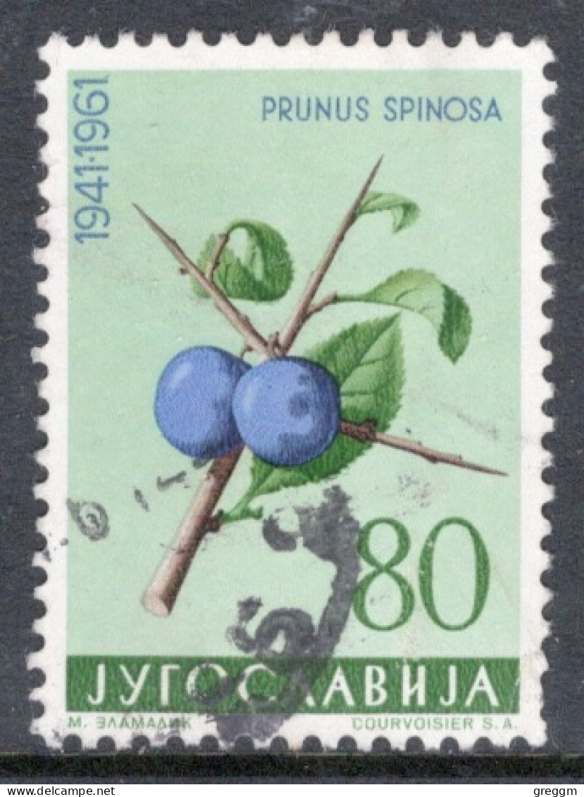 Yugoslavia 1961 Single Local Flora In Fine Used. - Oblitérés