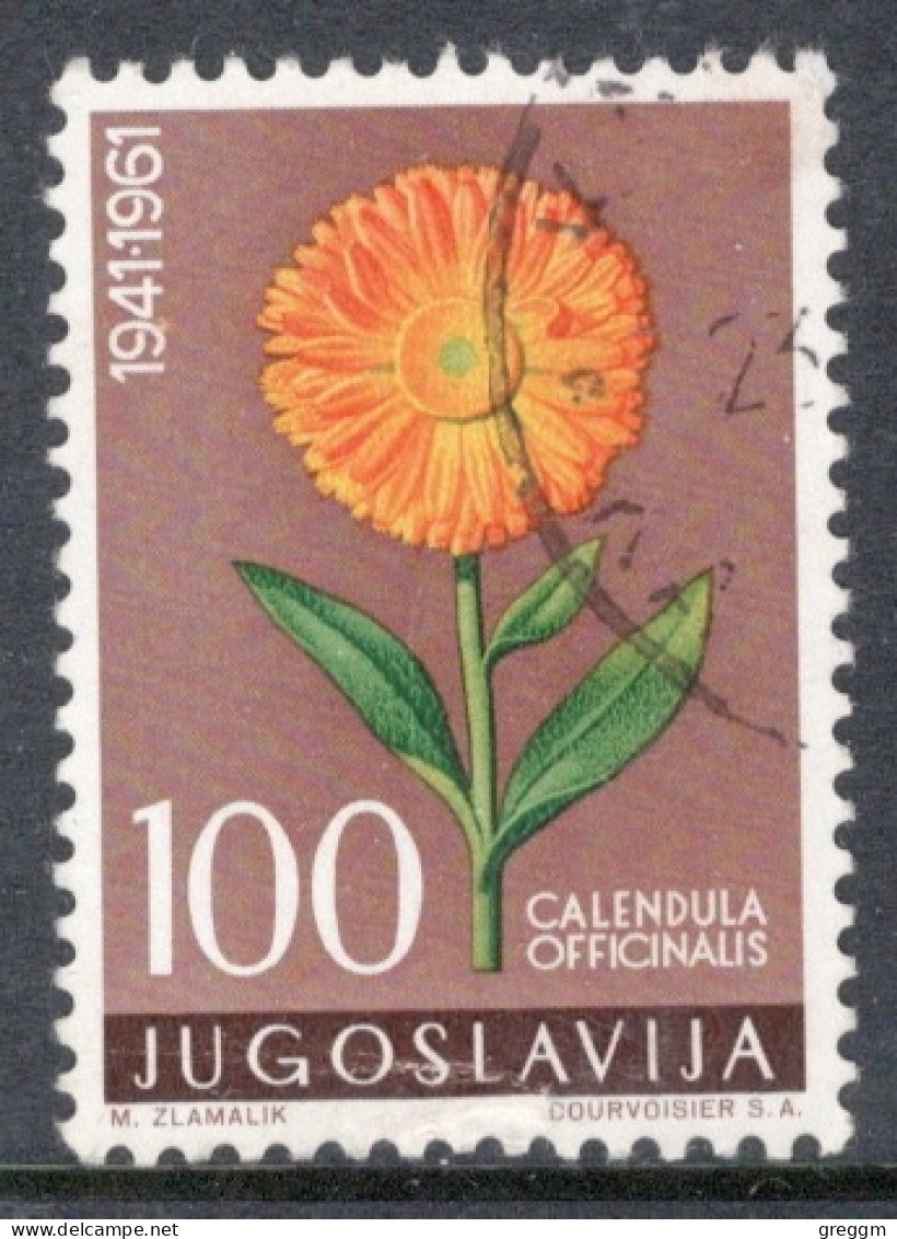 Yugoslavia 1961 Single Local Flora In Fine Used. - Oblitérés