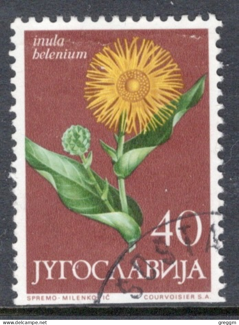 Yugoslavia 1965 Single Local Flora In Fine Used. - Used Stamps