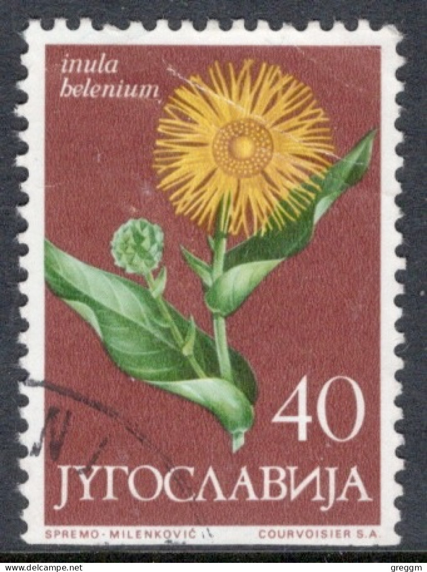 Yugoslavia 1965 Single Local Flora In Fine Used. - Used Stamps