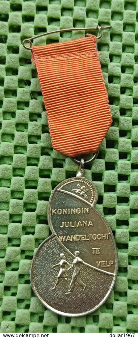 Medaille -   Koningin Juliana Wandeltocht Te Velp.   -  Original Foto  !!  Medallion  Dutch - Royal/Of Nobility