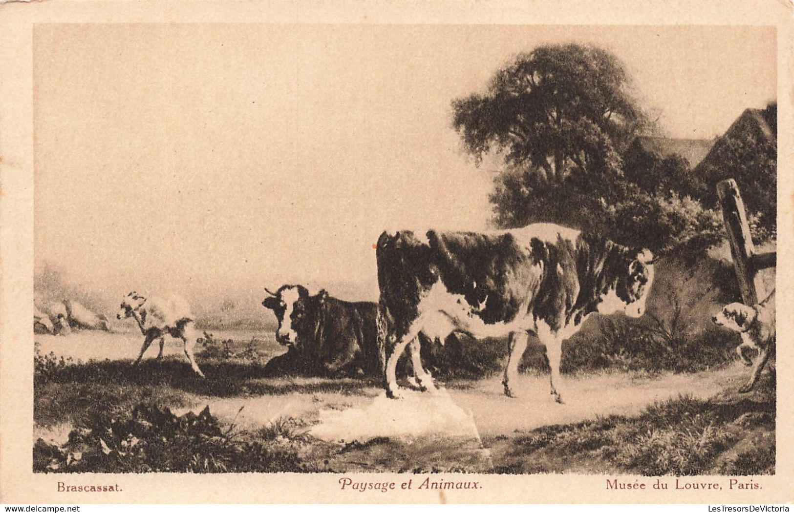 ANIMAUX - Paysages Et Animaux - Musée Du Louvre - Paris - Brascassat - Vaches - Carte Postale Ancienne - Cows
