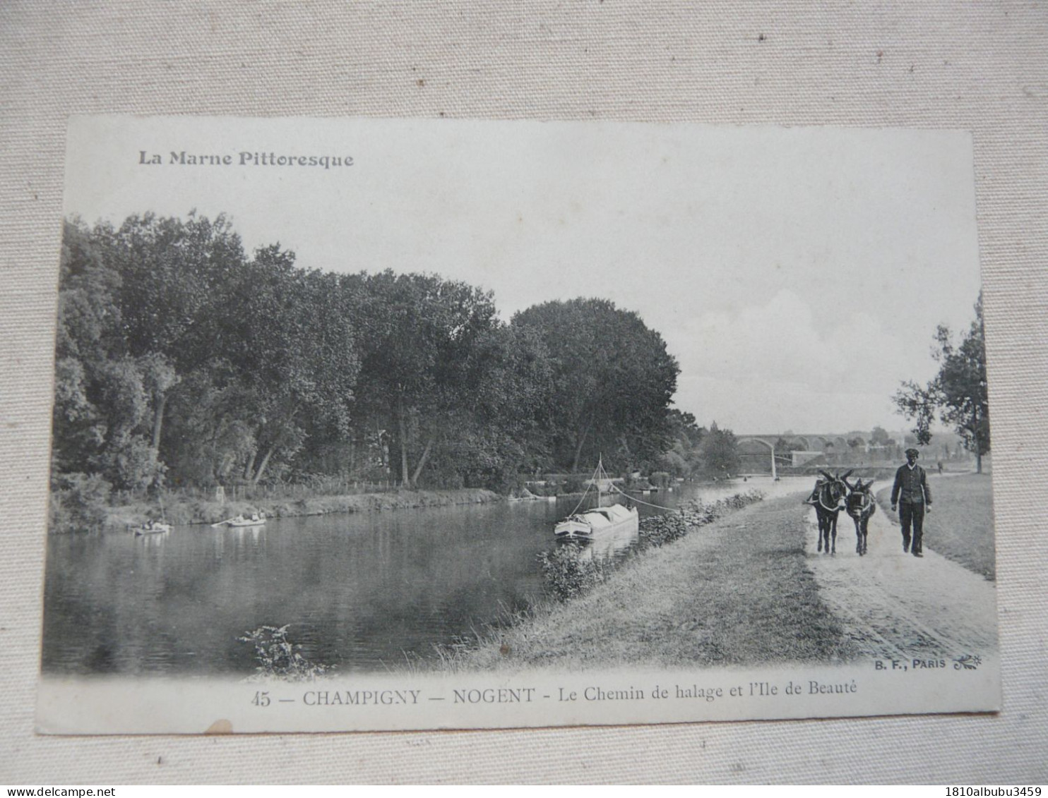 RARE - CPA 51 MARNE - LA MARNE PITTORESQUE - CHAMPIGNY - NOGENT : Le Chemin De Halage Et L'Ile De Beauté - Champigny