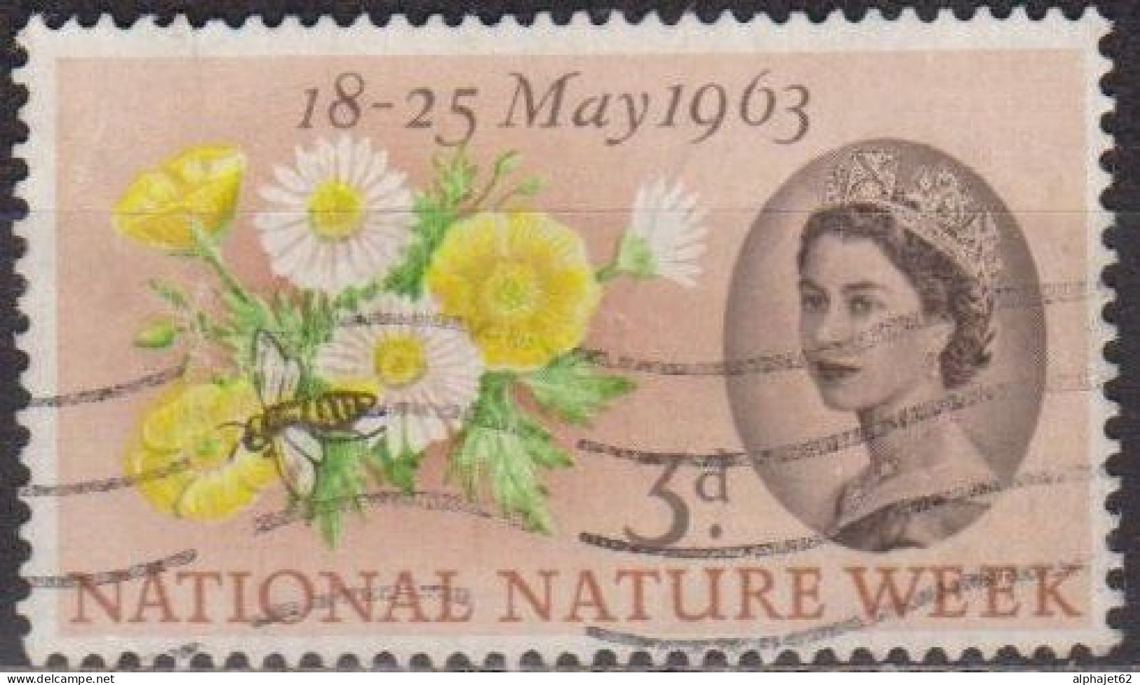 Flore, Fleurs - GRANDE BRETAGNE - Boutons D'or Et Paquerettes - N° 373 - 1963 - Used Stamps