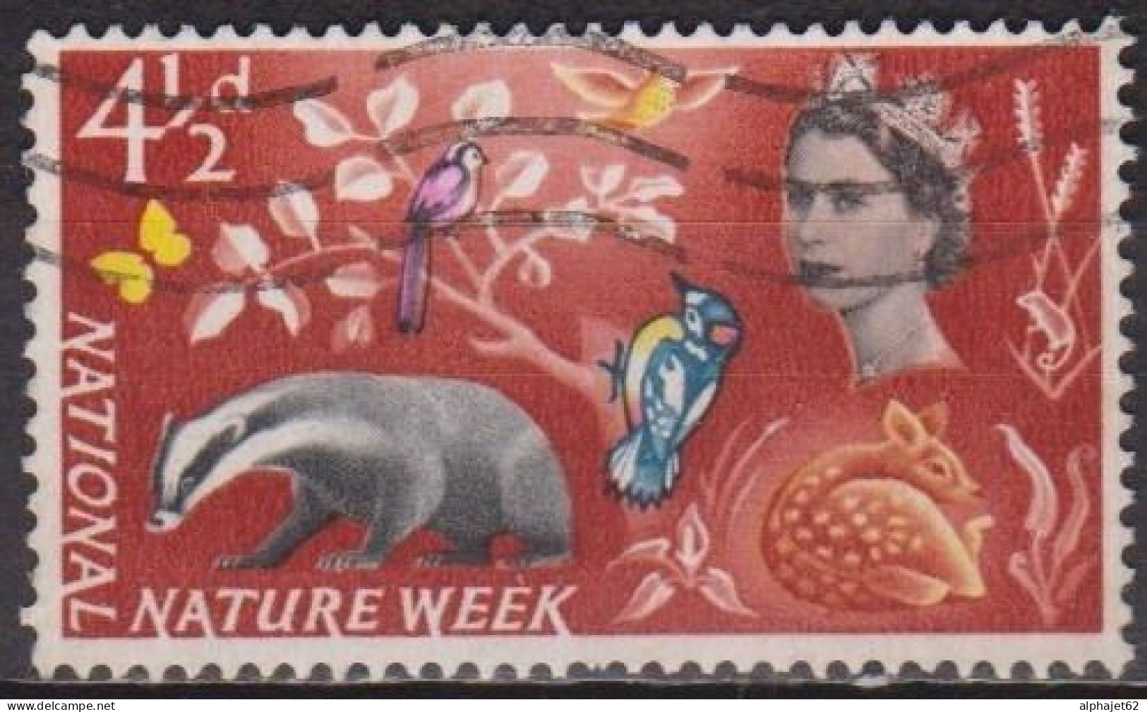 Faune, Animaux - GRANDE BRETAGNE - Blaireau, Oiseaux - N° 374 - 1963 - Used Stamps