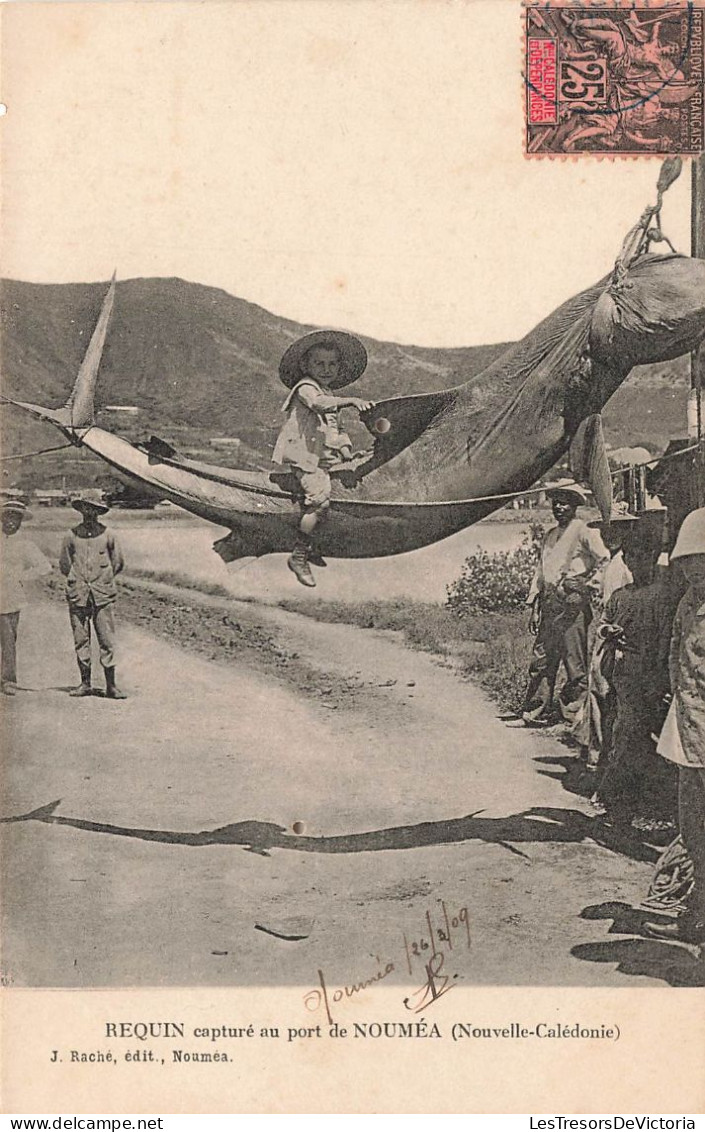 Nouvelle Calédonie -Requin Capturé Au Port De Nouméa  - Animé -   Carte Postale Ancienne - Nueva Caledonia