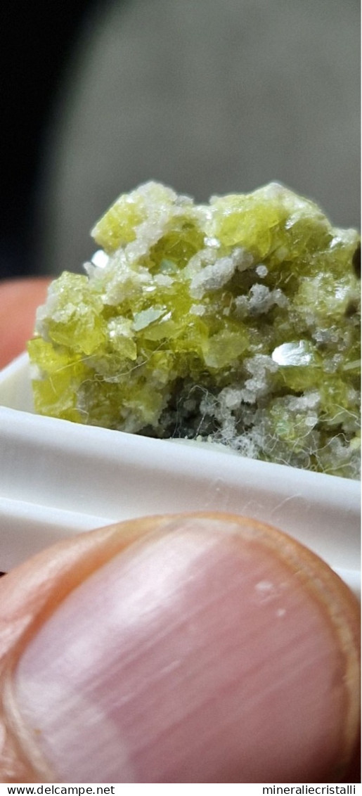 Zolfo Minerali Siciliani Mini Cristalli Di Zolfo Su Matrice 2,59gr - Minéraux