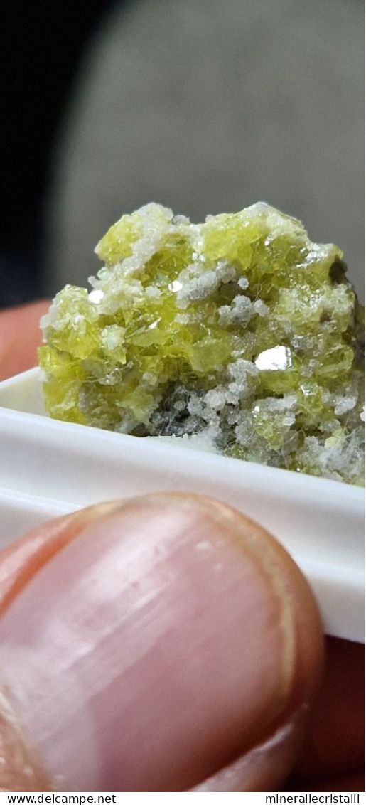 Zolfo Minerali Siciliani Mini Cristalli Di Zolfo Su Matrice 2,59gr - Minerali