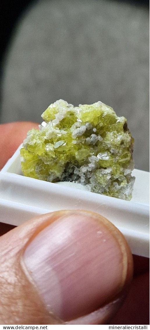 zolfo Minerali siciliani mini Cristalli di zolfo su matrice 2,59gr