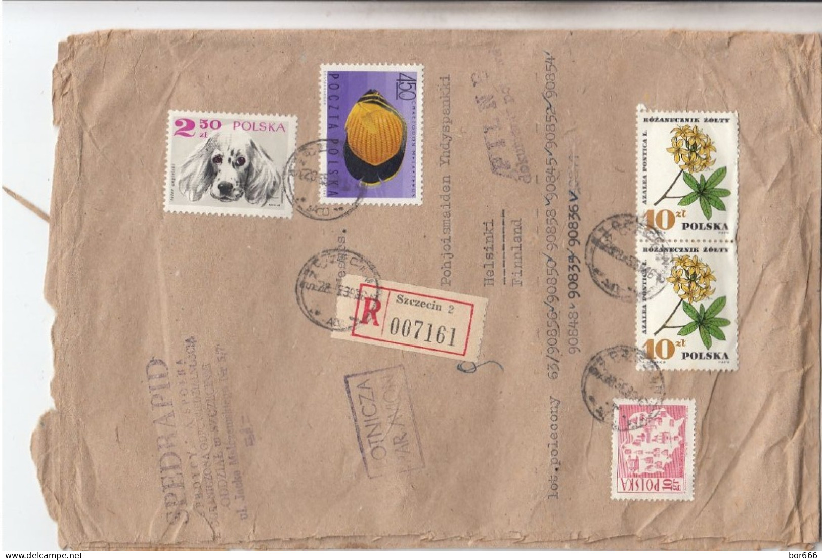 GOOD POLAND " REGISTERED "  Postal Cover To FINLAND 1969  - Good Stamped: Fish ; Dog ; Flowers - Briefe U. Dokumente