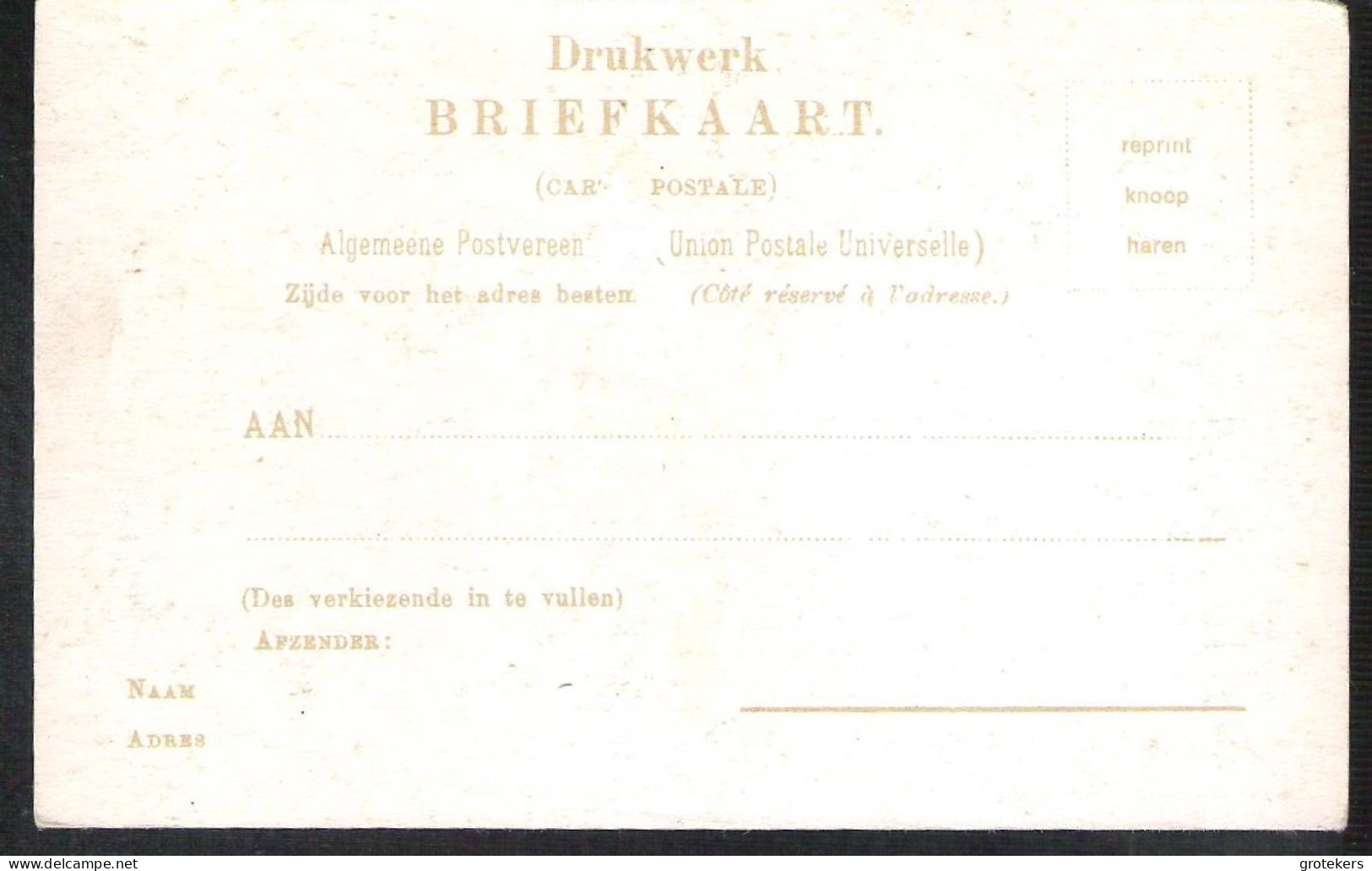 ALMELO Friezenveensche Weg Ca 1900 REPRINT - Almelo