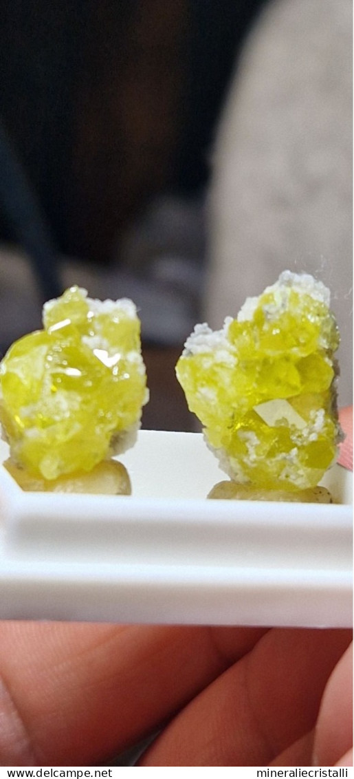Minerali Siciliani Coppia Di Mini Cristalli Di Zolfo Su Matrice 2,39gr - Mineralien
