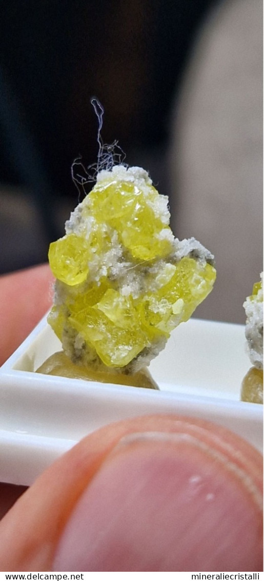 Minerali Siciliani Coppia Di Mini Cristalli Di Zolfo Su Matrice 2,39gr - Minerales