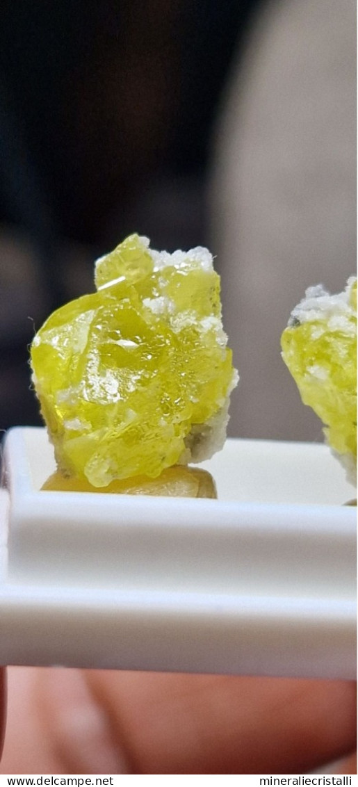 Minerali siciliani coppia di mini Cristalli di zolfo su matrice 2,39gr