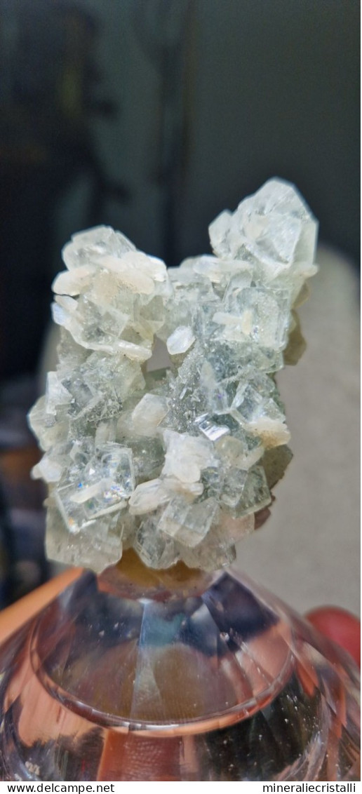 Halite Cristalli Di Sale Naturale 45gr Marocco - Mineralien
