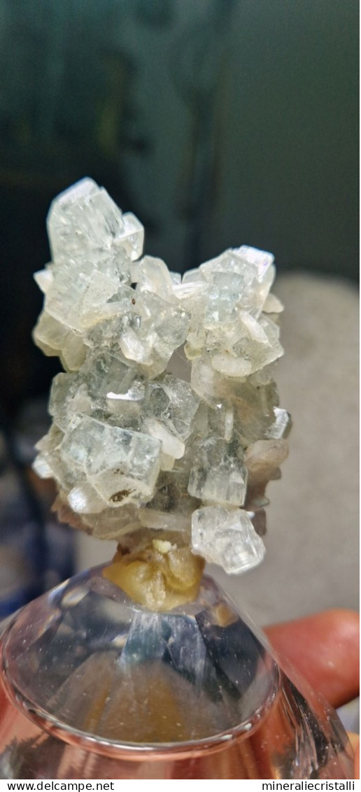Halite Cristalli Di Sale Naturale 45gr Marocco - Minerals