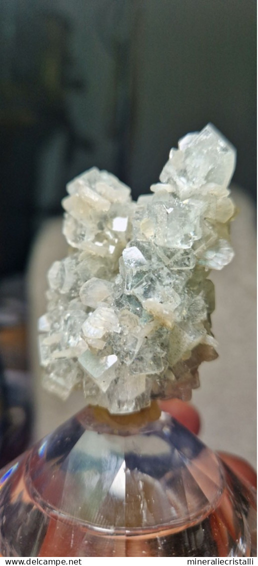 Halite Cristalli Di Sale Naturale 45gr Marocco - Minéraux